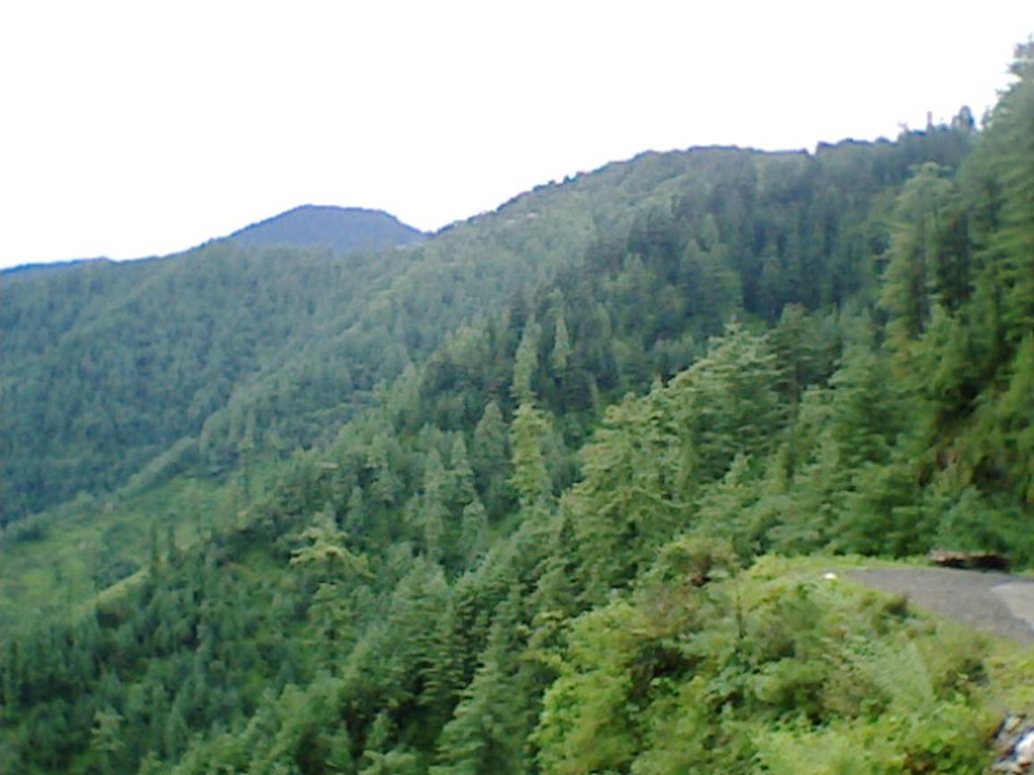 green mountains at my home