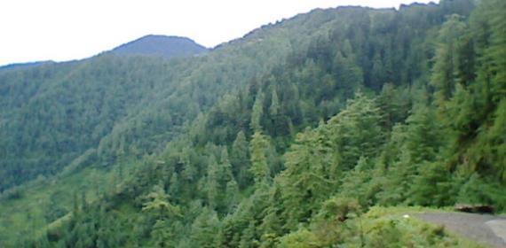 green mountains at my home